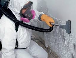 Trusted Waterville, NY Mold Prevention & Removal  Experts